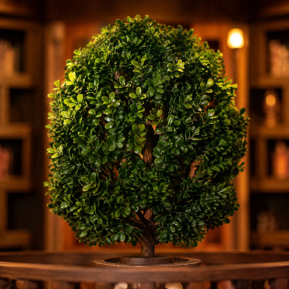 Library of Wisdom Book Nook Miniatur mit detailreichem Baum und warmer Bibliotheksatmosphäre